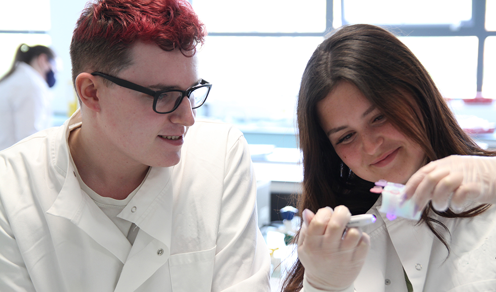 Science students conducting an experiment